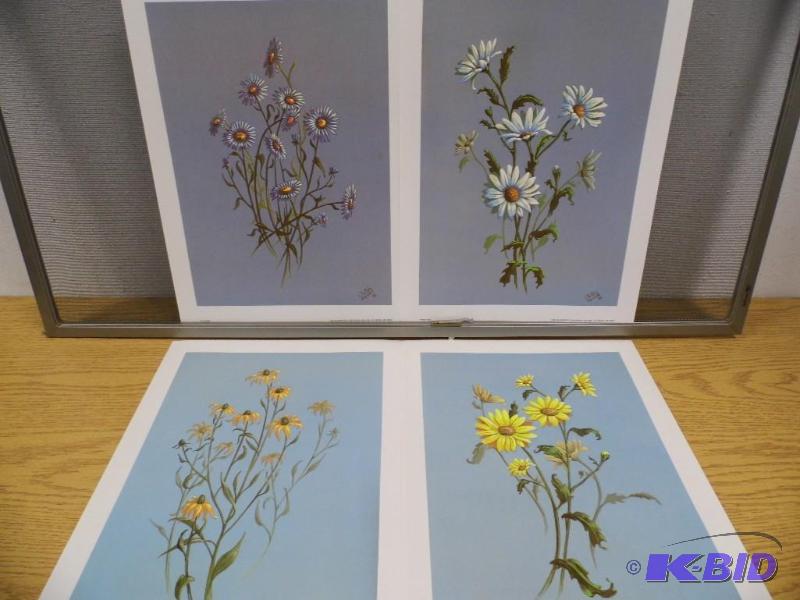 Patty Prinze Prints