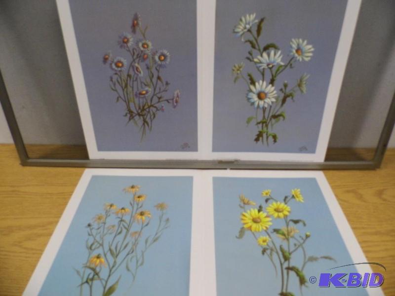 Patty Prinze Prints
