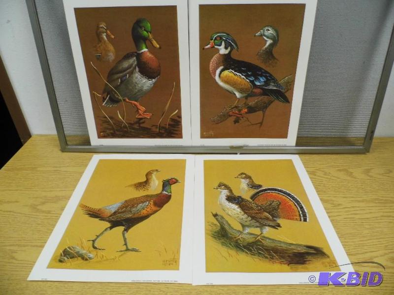Prunty Prints