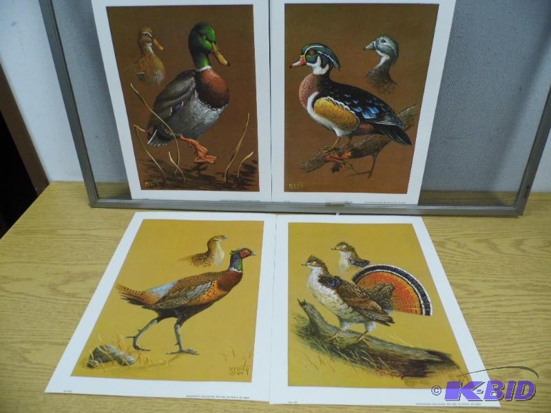 Prunty Prints