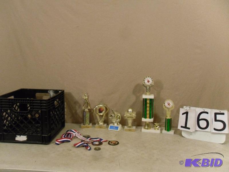 lot 165 image: Lot of Assorted Trophies and Medals. Great fo...