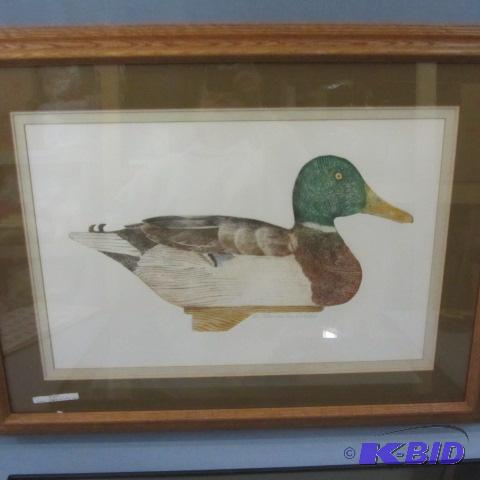 Mallard Drake Decoy Litho