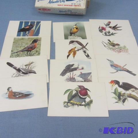 Bird Card Collection