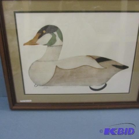 Eider Duck Decoy Litho