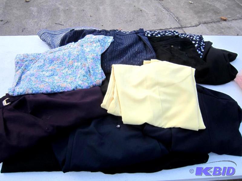 14 pairs of pants and shorts