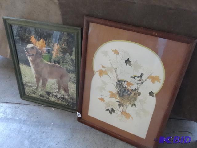 lot 251 image: Dog Photo in Frame Bird nest Print...