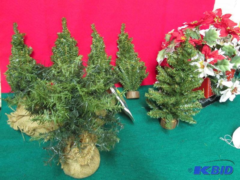 4 Small Traditional Trees and 3 Trees that are a bit different