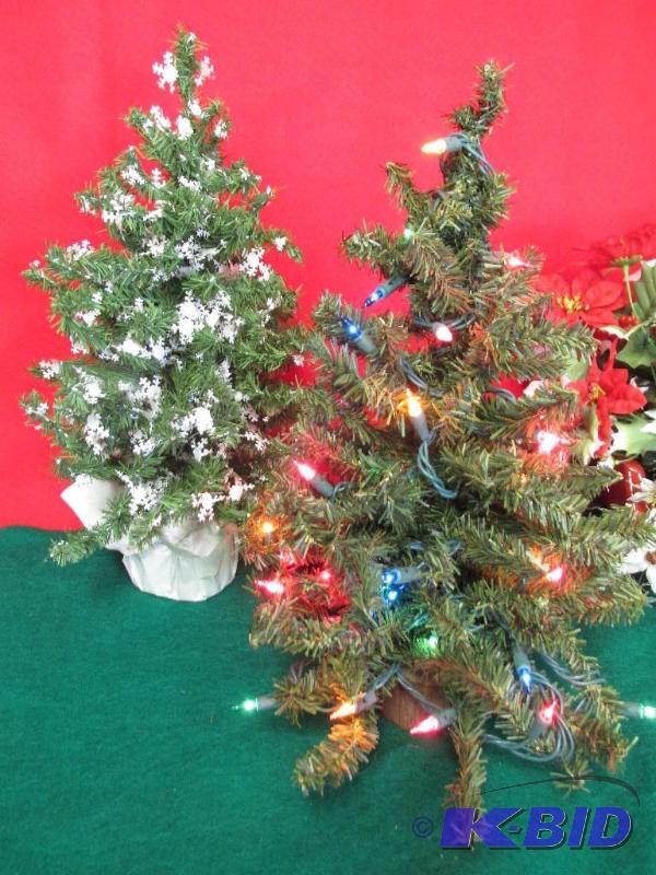Two Trees One with lights and one with Snow.