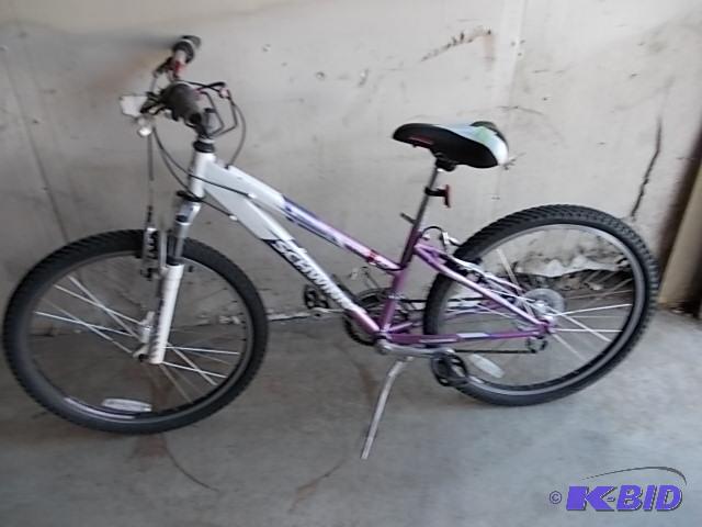 schwinn 24 inch bike girl