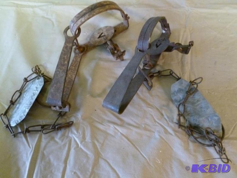 lot 130 image: Lot of two Victor leg traps, measures 9.5&quo...