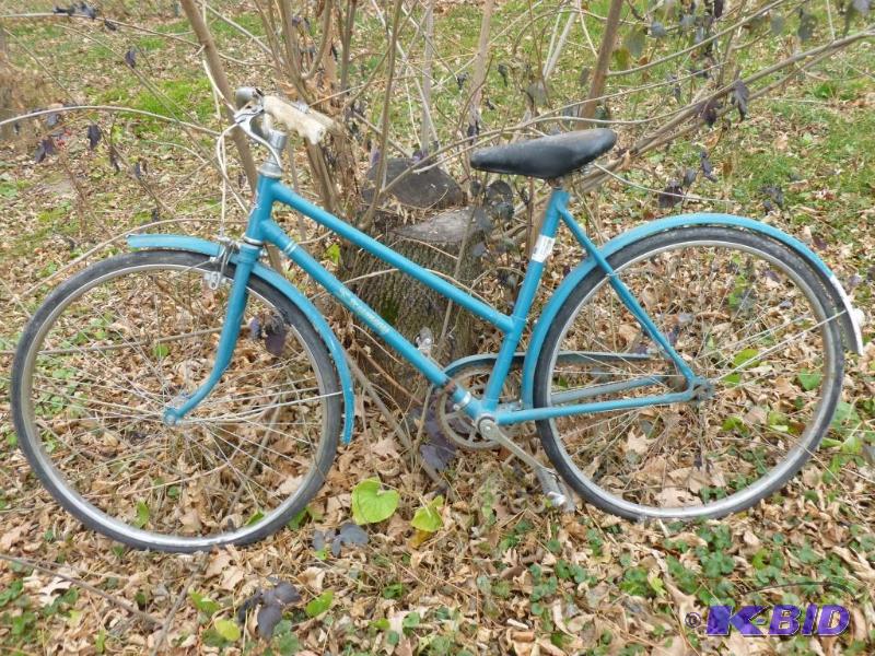 lot 229 image: Vintage Skyway 19" bike, tires are flat....