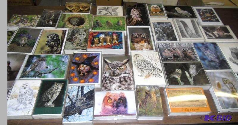 lot 20001 image: OWlS OWlS OWLS  Beautiful Collection of 36 Owl Picture Postcards in  Plastic Photo Cases
