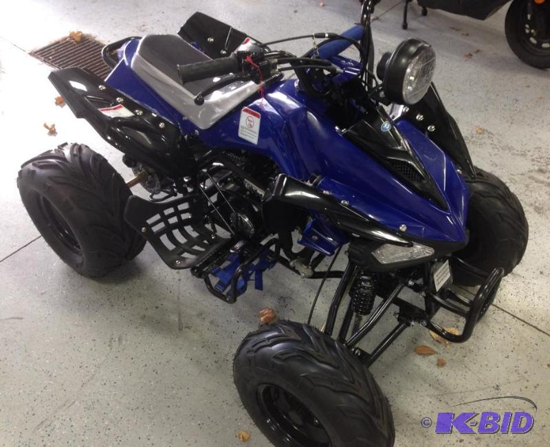 2014 TaoTao Youth 125cc ATV - Sport Version w Reverse