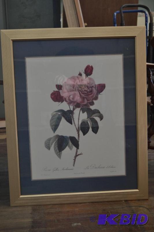 Framed Print