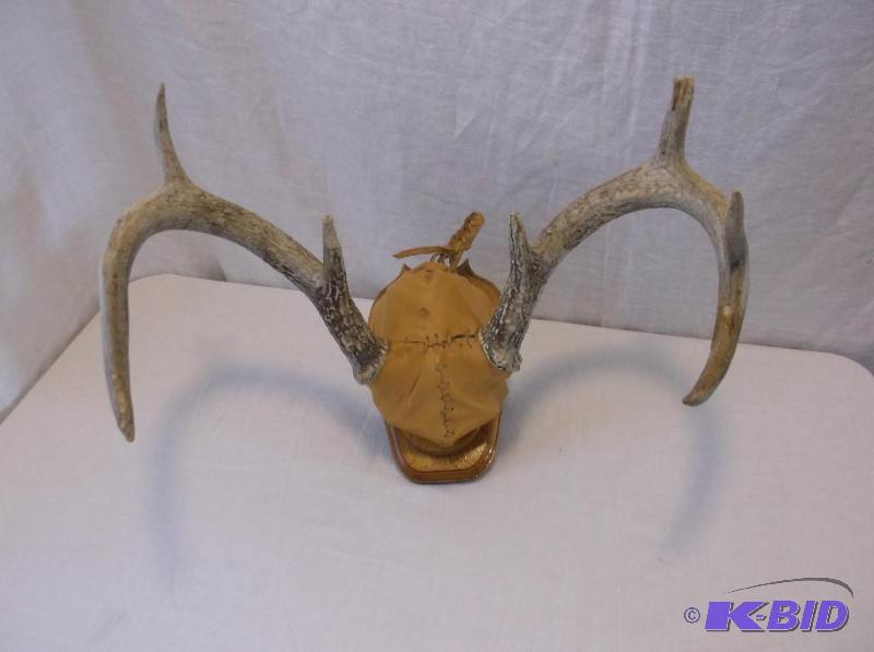 lot 34 image: Nice 8 point deer rack mounted on board rappe...