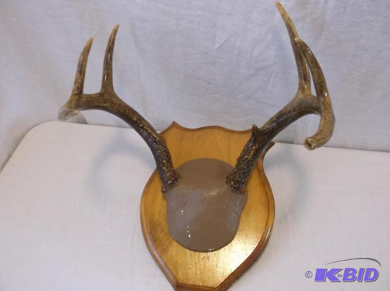 lot 35 image: Nice 7 point deer rack mounted on board....