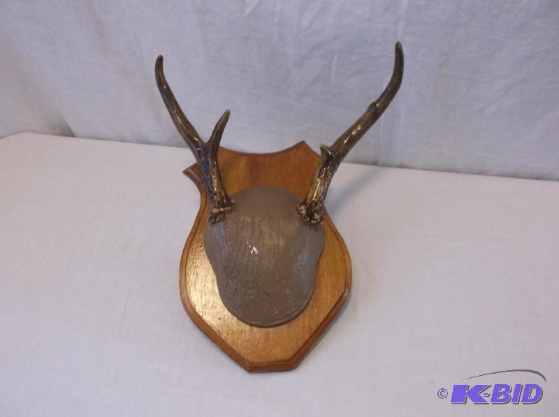 lot 37 image: Nice 3 point deer rack mounted on board....