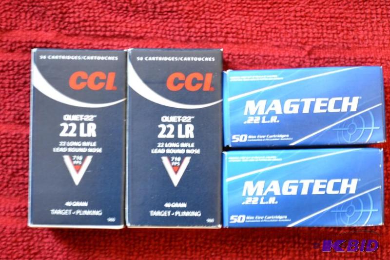 22 LR AMMO