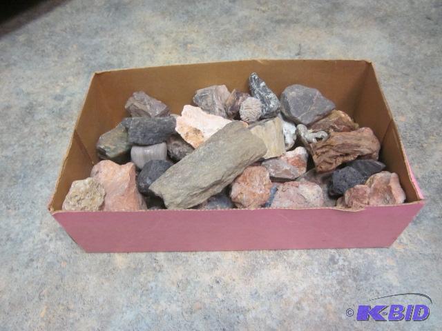 lot 54 image: Box of rocks, including driftwood, petrified ...
