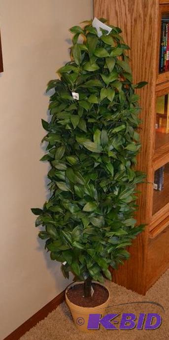 lot 32 image: Large plastic plant 57x14&quot...