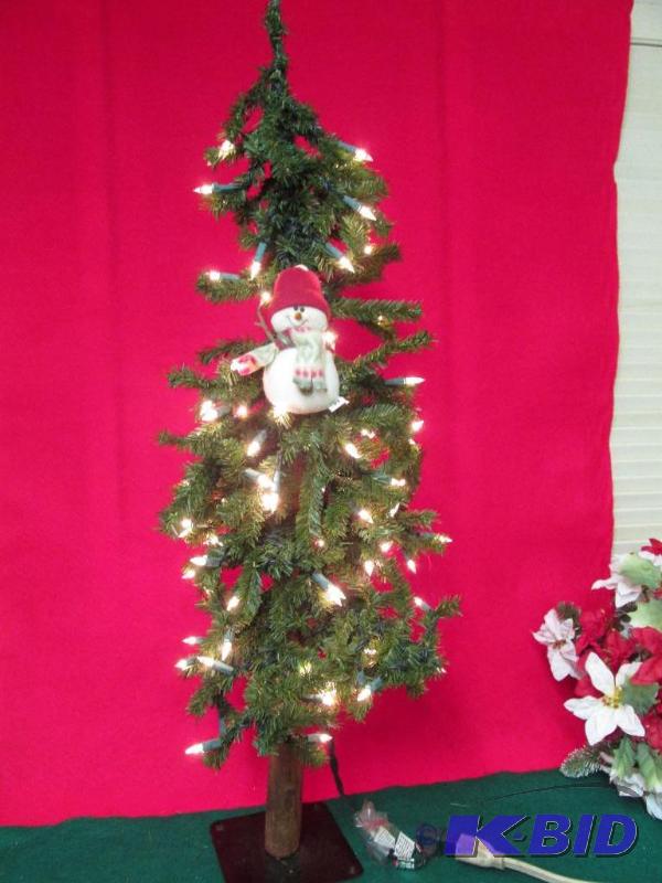 An Adorable Little Tree