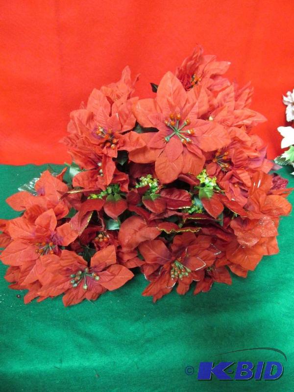 Red Poinsettias