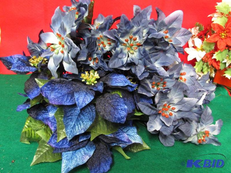Blue Poinsettias