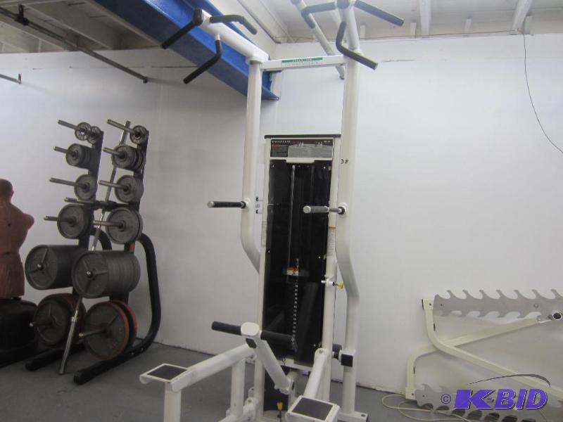lot 38 image: Paramount Weight assisted Pull Up Dip Machine.