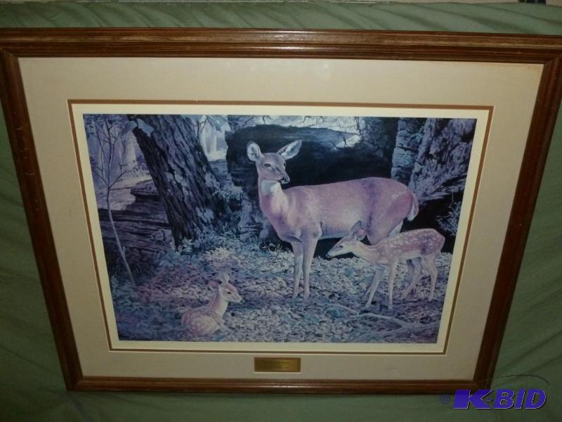 Beautiful Large Gary Lucy - Whitetail Doe And...