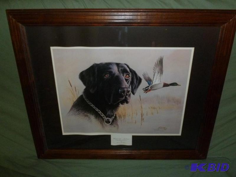 Beautiful James Killen&nbsp&quot Black Lab ...