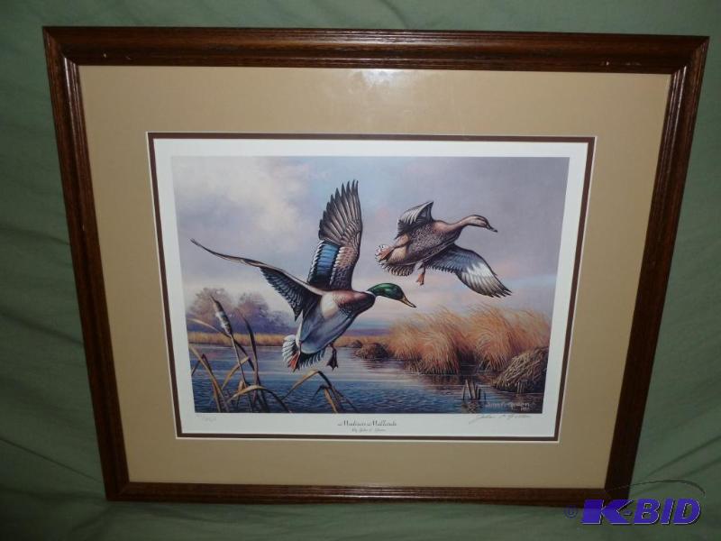Beautiful John Green &quot Madison Mallards&...
