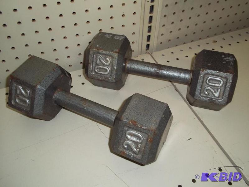 Pair of 20# Exorcize weights...
