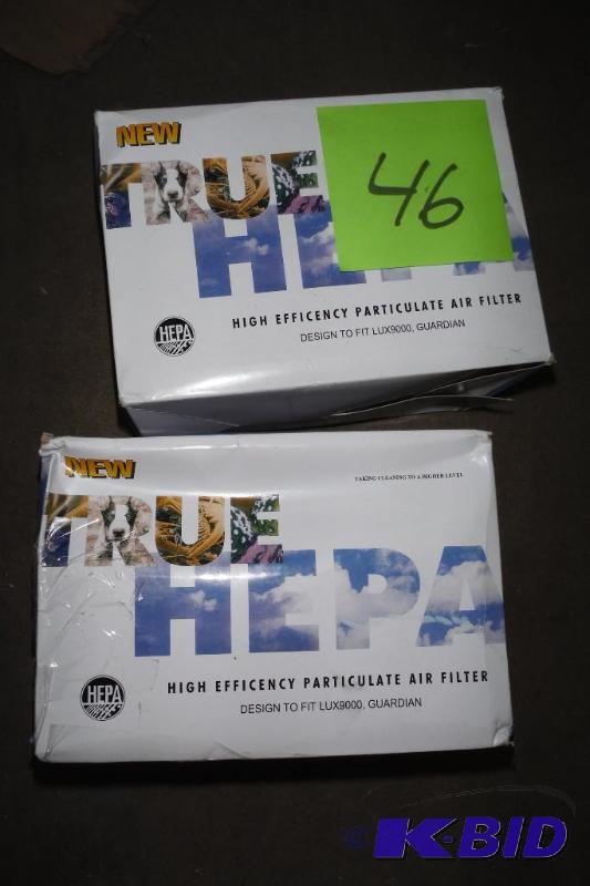 lot of 2 true hepa high eff filters will fit lux 9000, guardian