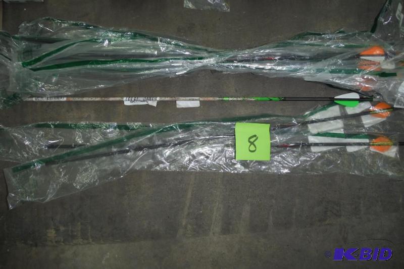 lot of 12 arrows