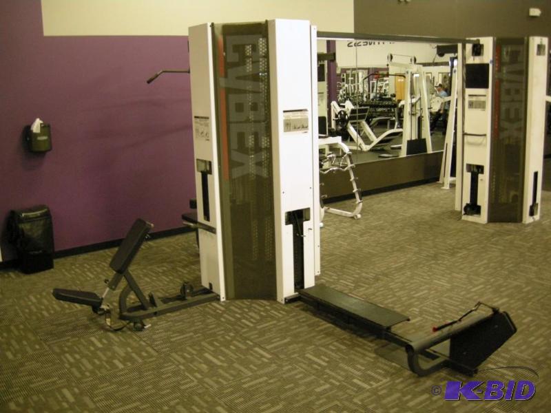 lot 1 image: Cybex Tower Work-out Station