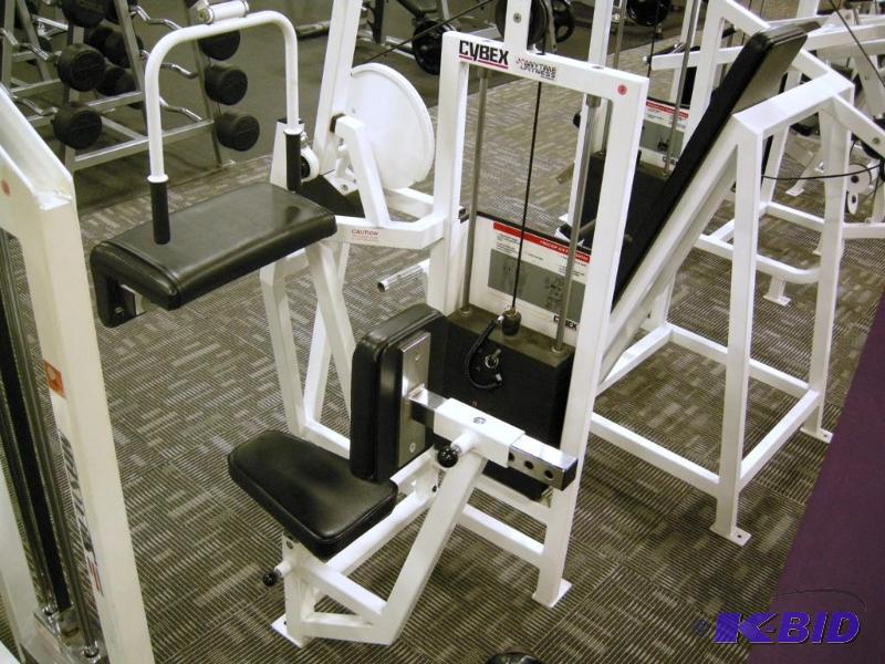 lot 11 image: Cybex Tricep Extension VR