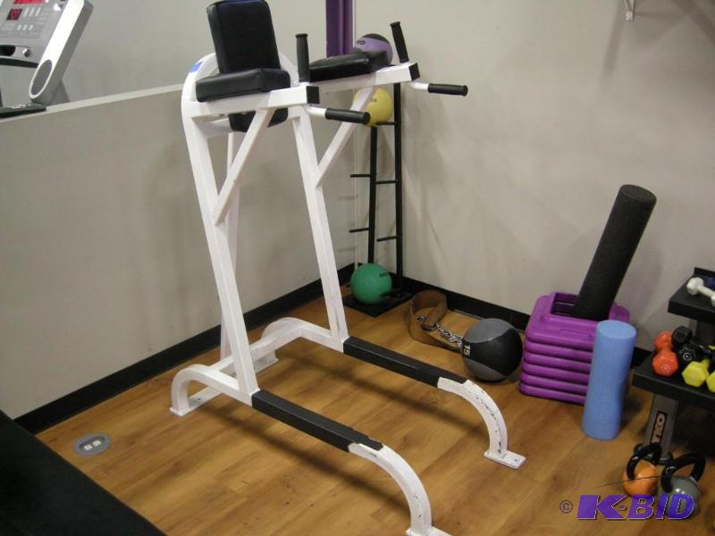 lot 19 image: Ab Workout Station