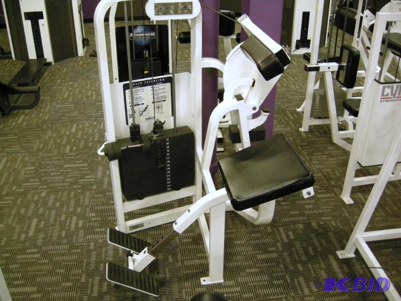 lot 8 image: Cybex Back Extension