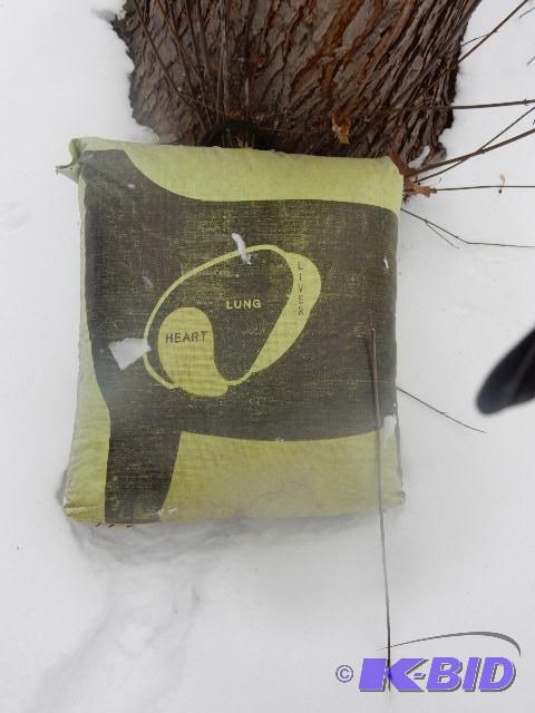 lot 191 image: Bow and Arrow Target.. Looks like it has neve...
