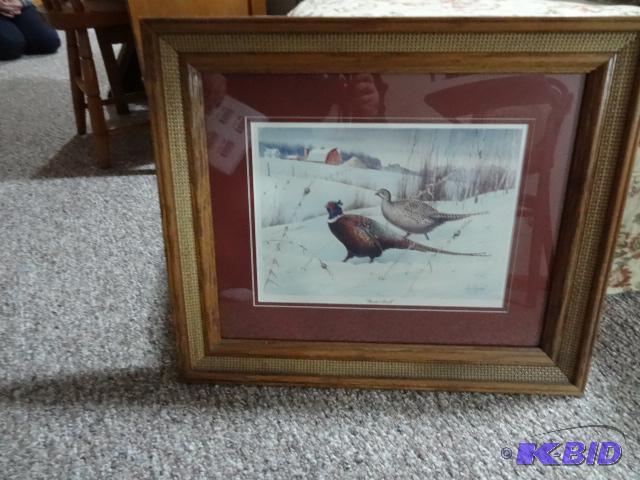 Pheasant Picture &quotWindy Stroll&quot by ...