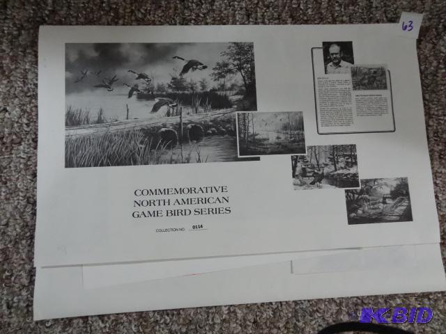 Collection of Commemorative North American Ga...