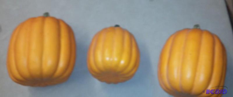 3 decorative pumpkins...