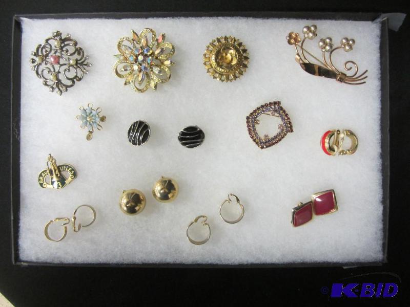 Vintage Pins and Clasp Earrings