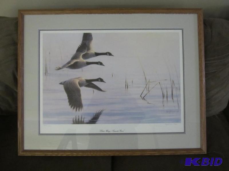 Silent Wings Canada Geese