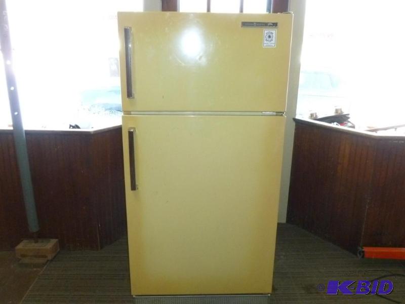 lot 51 image: General Electric refrigerator  freezer that ...