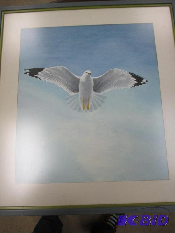 Framed D. Howland Bird Print