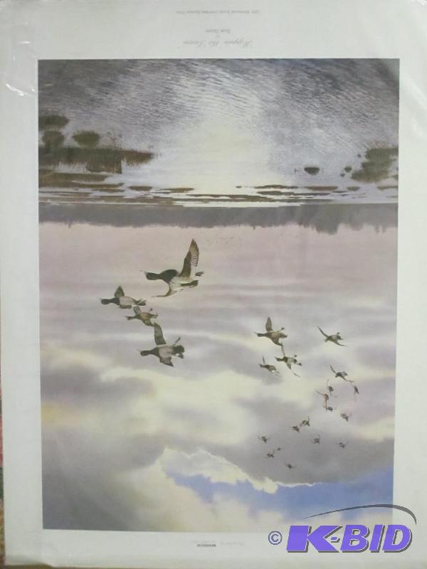Scot Storm & Peter Ward Signed & Numbered Duck Prints