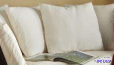 lot 125 image: Four Decorative Pillows - 19" square eac...