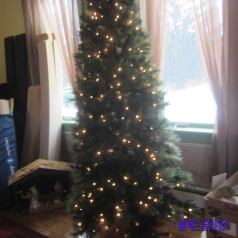 Lighted Christmas Tree
