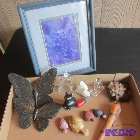 Blueberry, Butterflies, Birds